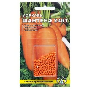 Семена Морковь Шантенэ 2461, 300 шт, 3 пачки