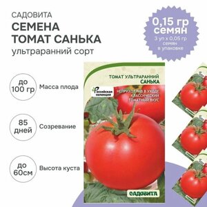 Семена низкорослых томатов "Санька"