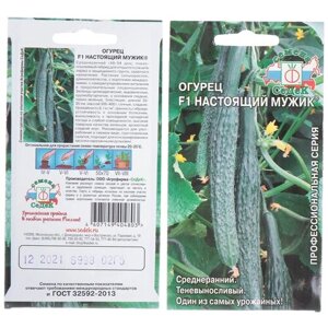 Семена Огурец, Настоящий Мужик F1, 0.2 г, цветная упаковка, Седек