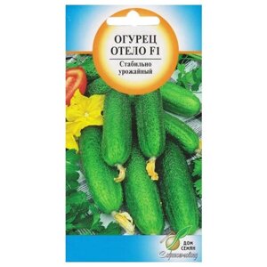 Семена Огурец Отело F1 10шт - 1 упаковка для дачи, сада, огорода, теплицы / рассады в домашних условиях