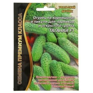 Семена Огурец "Таганай" F1 ультраранний, партенокарпический, для открытого грунта, 15 семян