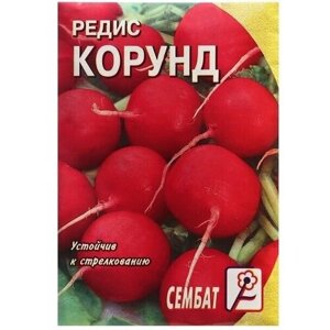 Семена Редис Корунд, 3 г, 4 пачки