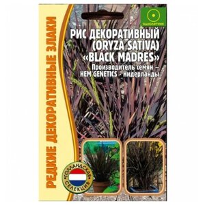 Семена Риса декоративного (Oryza sativa) (Black Madres) 0,1 г.