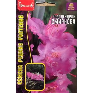 Семена Рододендрона Смирнова (10 семян)