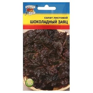 Семена Салат "шоколадный ЗАЯЦ" ,0,5 гр
