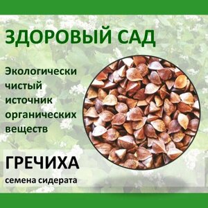 Семена сидерат Гречиха здоровый САД, 0,4 кг х 15 шт (6 кг)