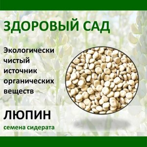 Семена сидерат Люпин белый здоровый САД, 0,5 кг х 15 шт (7,5 кг)