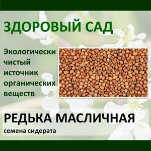 Семена сидерат редька масличная здоровый САД, 0,5 кг х 15 шт (7,5 кг)