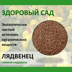 Семена сидерата Лядвенец рогатый здоровый САД, 0,5 кг х 15 шт (7,5 кг)