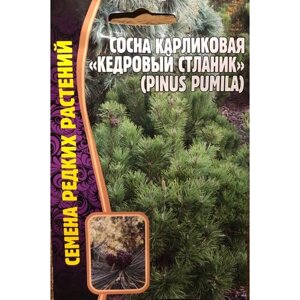 Семена Сосны карликовой "Кедровый стланик"Pinus pumila) (5 cемян)