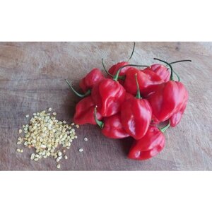 Семена супер-острого красного перца Хабанеро 15 шт. в упаковке