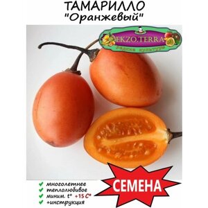 Семена Тамарилло Оранжевый 5 шт.