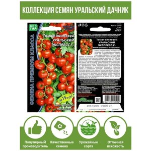 Семена Томат Уральский экспресс, шпалерный, раннеспелый, обильный, для салатов, 10 семян