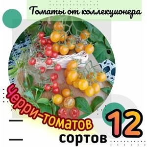 Семена томатов, 12 сортов черри-томатов, 120 семян