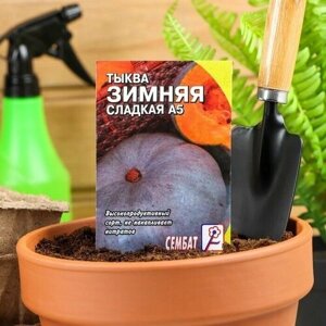 Семена Тыква Зимняя Сладкая, 1 г, 5 пачек