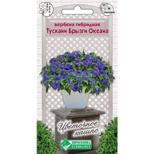 Семена Вербены гибридной Тускани "Брызги океана"Verbena hybrida Tuscany Blue) (8 семян)