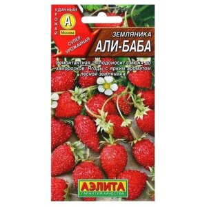 Семена Земляника "Али Баба" ремонтантная, 0,04 г