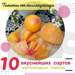 Семена жёлтых томатов, набор 10 сортов, семена от коллекционера