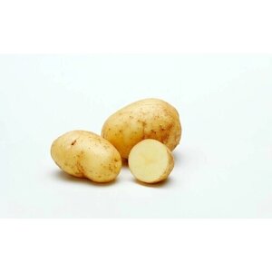 Семенной картофель Голубизна 2 кг