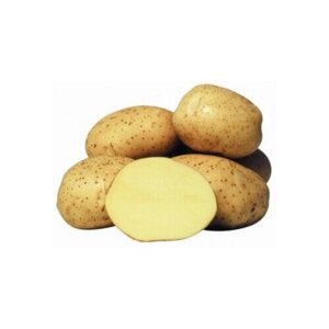 Семенной картофель Винета 2 кг