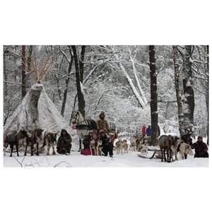 Сертификат Экскурсия к северным оленям и собакам, 2 взрослых+1 ребенок в будний день (Московская область)