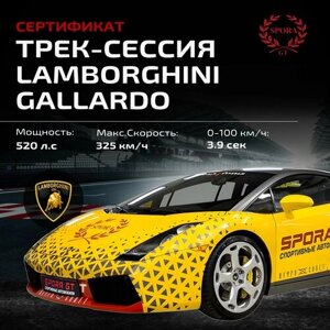 Сертификат на трек сессию на Lamborghini Gallardo