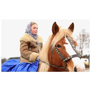 Сертификат Профессиональная фотосессия с лошадьми (60 мин.) (Московская область)
