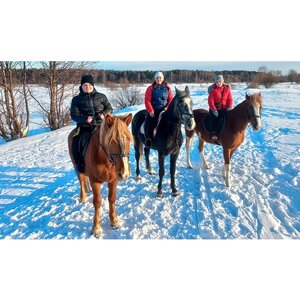 Сертификат Семейная конная прогулка в поля для 2 взрослых и 2 детей (1 час) (Московская область)