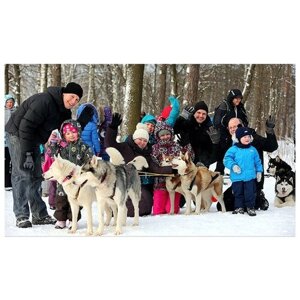 Сертификат в подарочной упаковке Экскурсия к северным оленям и собакам, 2 взрослых + 2 детей в будний день (Московская область)