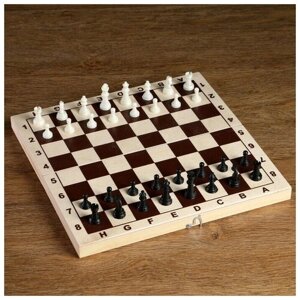 Шахматные фигуры, пластик, король h-4.2 см, пешка h-2 см