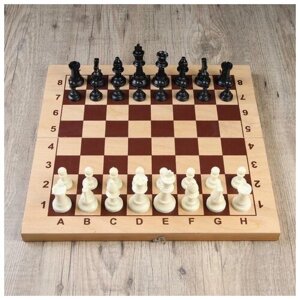 Шахматные фигуры, пластик, король h-9.5 см, пешка h-4.5 см 1 набор