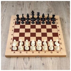 Шахматные фигуры, пластик, король h=9.5 см, пешка h=4.5 см