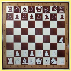 Шахматы, шашки демонстрационные нескладные (80 на 80 см)