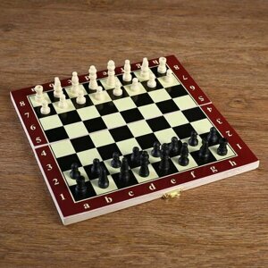 Шахматы "Тонт", 24 x 24 см