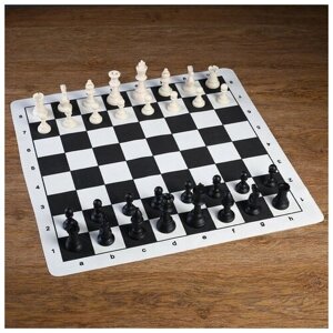 Шахматы в пакете, фигуры (пешка h=4.5 см, ферзь h=7.5 см), поле 50 х 50 см 1976165