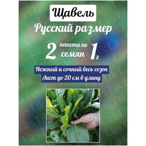 Щавель Русский размер 2 пакета по 1г семян