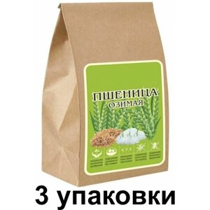 Сидерат "Пшеница озимая", 3 шт по 500 г: удобрение снижает заболеваемость растений, активно подавляет нематоды, снижает численность проволочника