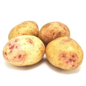 "Синеглазка"Семенной картофель "Суперэлита", 2 кг
