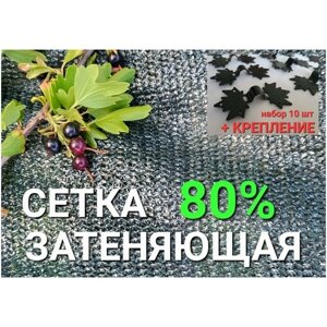 Солнцезащитная сетка 80%3Х10м + Набор креплений 10шт/ Сетка затеняющая (фасадная) для теплиц, навеса, для растений, огорода, для строительства