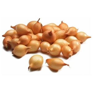Среднеранний сорт лука-севок в упаковке "Стурон"1 кг) может храниться до 8 месяцев при создании оптимальных условий; может выращиваться на головку