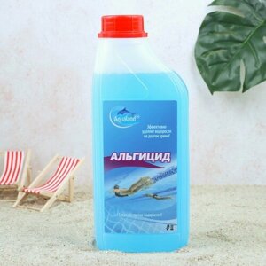 Средство для очистки воды в бассейне Aqualand, от водорослей, 1 л