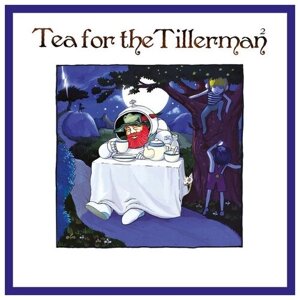 Stevens Cat "Виниловая пластинка Stevens Cat Tea For The Tillerman 2"