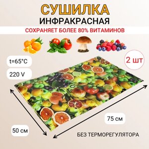 Сушилка для овощей и фруктов без терморегулятора Самобранка 75х50, 2 шт