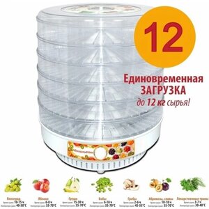 Сушилка для овощей и фруктов Спектр-Прибор Ветерок-2 Люкс, прозрачный, 8шт
