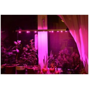 Светильник на удобных присосках для растений на подоконнике "Майя"мощность 30 Вт, длина 70 см)
