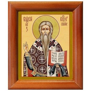 Священномученик Власий Севастийский, икона в рамке 8*9,5 см