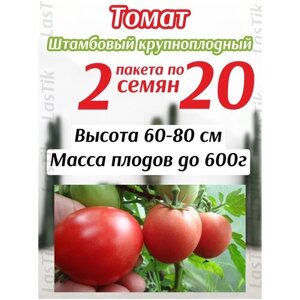 Томат Штамбовый Крупноплодный 2 пакета по 20шт семян