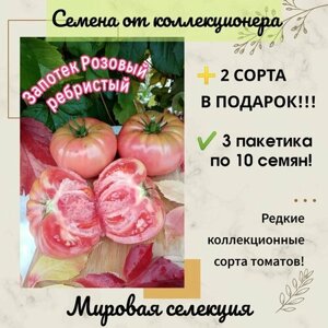 Томат Запотек Розовый ребристый, мировая селекция, коллекционный сорт