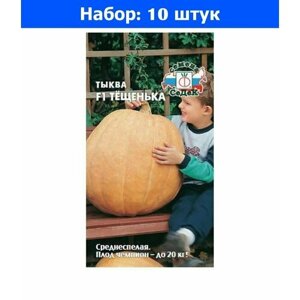 Тыква Тещенька F1 1г Ср (Седек) - 10 пачек семян