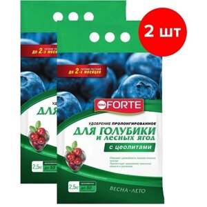 Удобрение Bona Forte Для голубики и лесных ягод с цеолитом, пакет 2,5 кг 2 шт